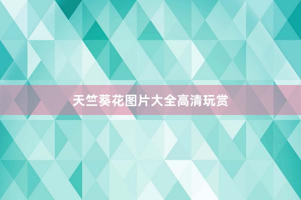 天竺葵花图片大全高清玩赏