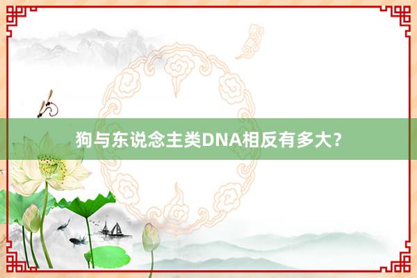 狗与东说念主类DNA相反有多大？