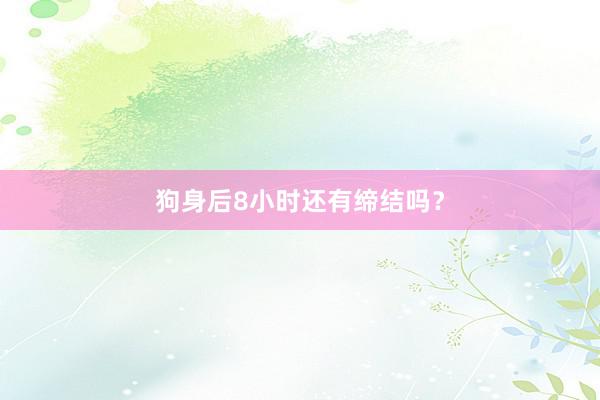 狗身后8小时还有缔结吗？