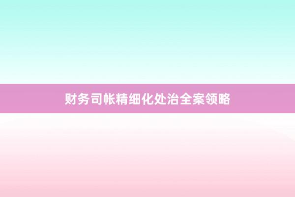 财务司帐精细化处治全案领略
